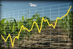 A yellow line graph superimposed on a cornfield conveys data trends